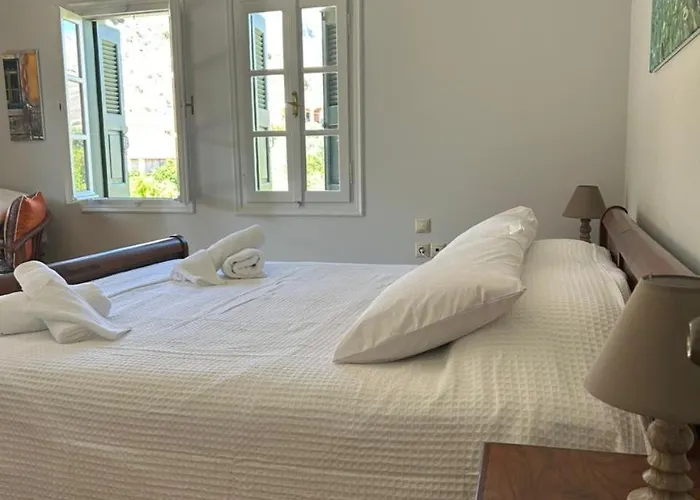 فيلة To Petrino *