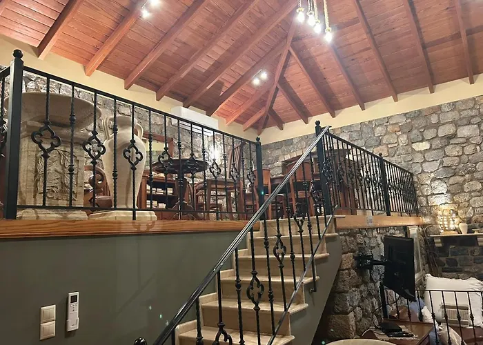 فيلة To Petrino Vathis